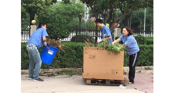 ▌長嶺紡電新聞 ▌迎接國衛(wèi)復審，長嶺紡電在行動！ ——長嶺紡電公司黨總支組織愛衛(wèi)義務勞動